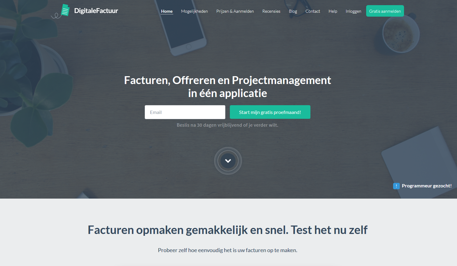 digitalefactuur.nl screenshot
